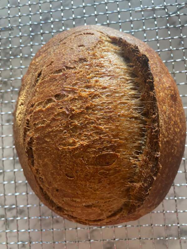 Caramalized-onion-and-cheese-sourdough-bread