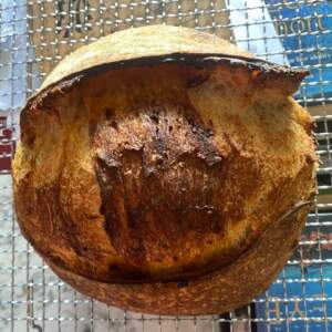 walnut-and-fig sourdough-bread